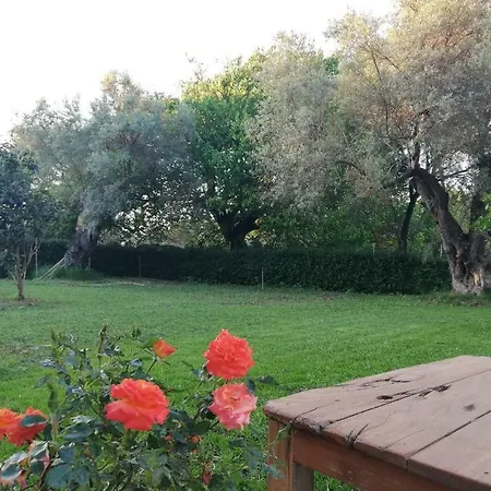 La Casa Di Caterina Kır Evi *