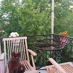 Venkovský dům La Casa Di Caterina